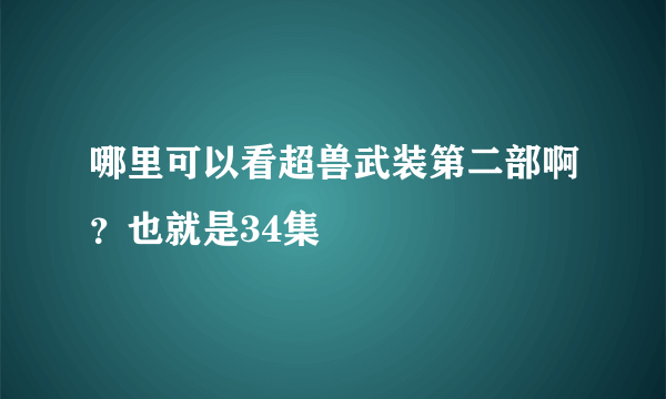 哪里可以看超兽武装第二部啊？也就是34集