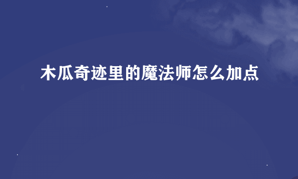 木瓜奇迹里的魔法师怎么加点