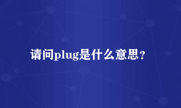 请问plug是什么意思？