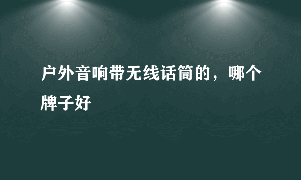 户外音响带无线话筒的，哪个牌子好