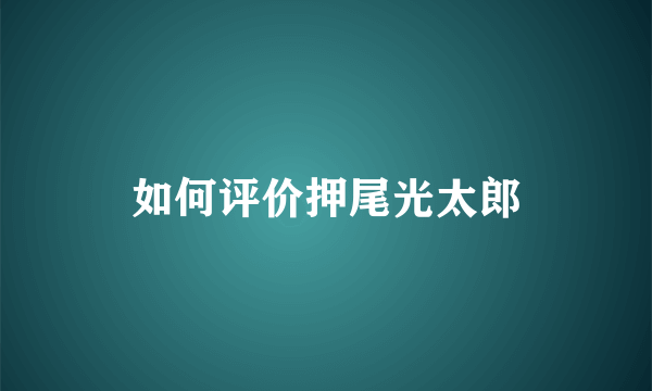 如何评价押尾光太郎