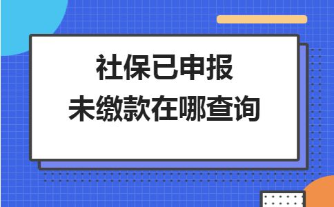 合肥的社保缴费明细怎么查？