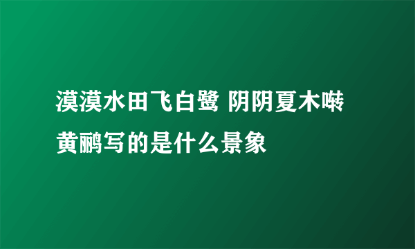 漠漠水田飞白鹭 阴阴夏木啭黄鹂写的是什么景象