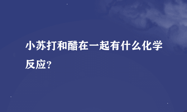 小苏打和醋在一起有什么化学反应？