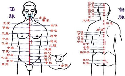 督脉和任脉的准确位置图