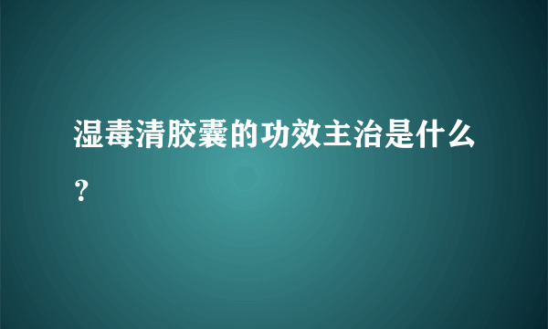 湿毒清胶囊的功效主治是什么？