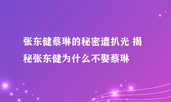 张东健蔡琳的秘密遭扒光 揭秘张东健为什么不娶蔡琳