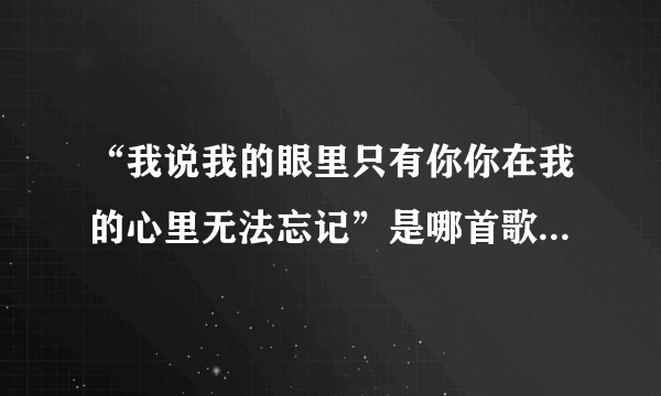 “我说我的眼里只有你你在我的心里无法忘记”是哪首歌曲里面的啊