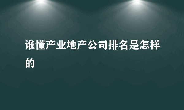 谁懂产业地产公司排名是怎样的