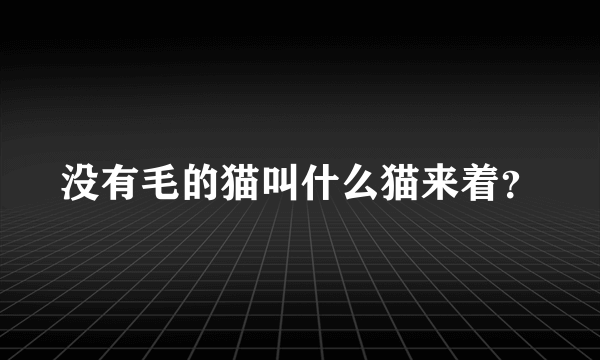 没有毛的猫叫什么猫来着？