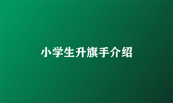 小学生升旗手介绍