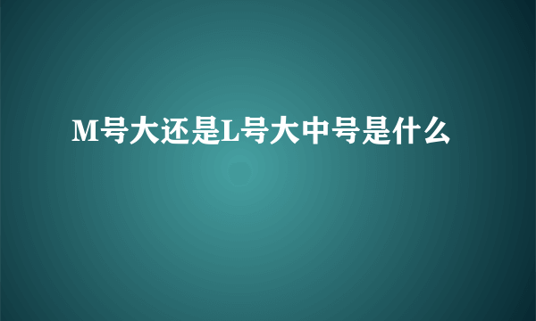 M号大还是L号大中号是什么