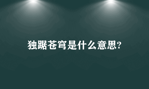 独踞苍穹是什么意思?