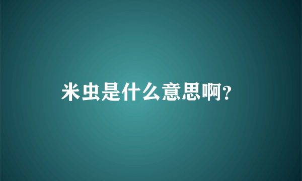 米虫是什么意思啊？