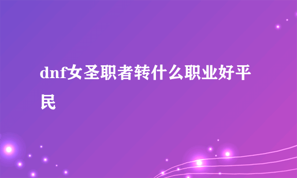 dnf女圣职者转什么职业好平民