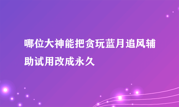 哪位大神能把贪玩蓝月追风辅助试用改成永久