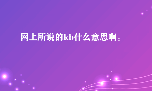 网上所说的kb什么意思啊。