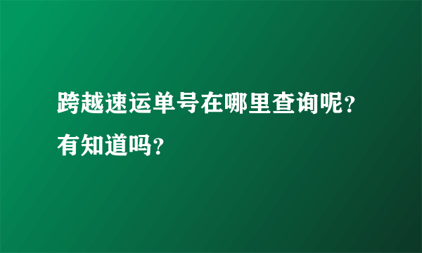 跨越速运单号在哪里查询呢？有知道吗？