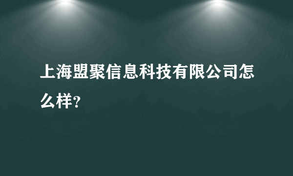 上海盟聚信息科技有限公司怎么样？