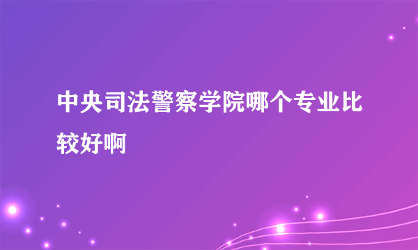 中央司法警察学院哪个专业比较好啊