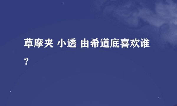 草摩夹 小透 由希道底喜欢谁？