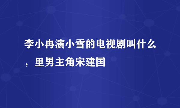 李小冉演小雪的电视剧叫什么，里男主角宋建国