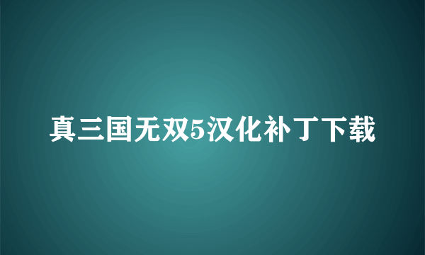 真三国无双5汉化补丁下载