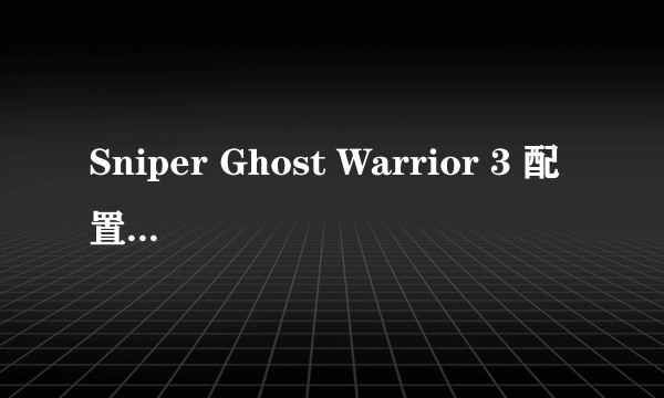 Sniper Ghost Warrior 3 配置以及电脑设置问题 我的电脑配置如下：