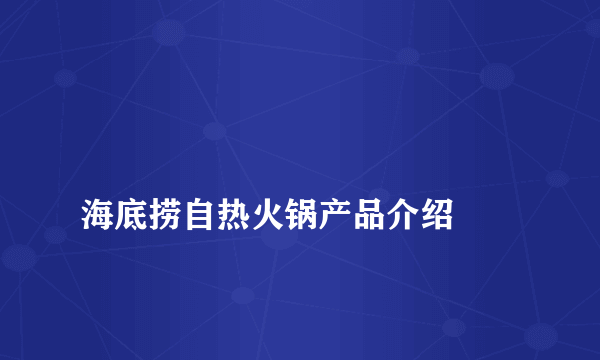 
海底捞自热火锅产品介绍
