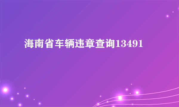 海南省车辆违章查询13491