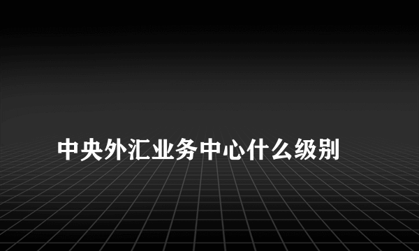 
中央外汇业务中心什么级别
