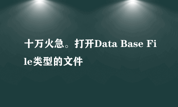 十万火急。打开Data Base File类型的文件