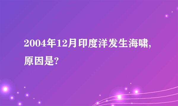 2004年12月印度洋发生海啸,原因是?