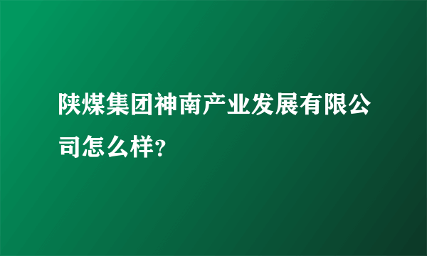 陕煤集团神南产业发展有限公司怎么样？