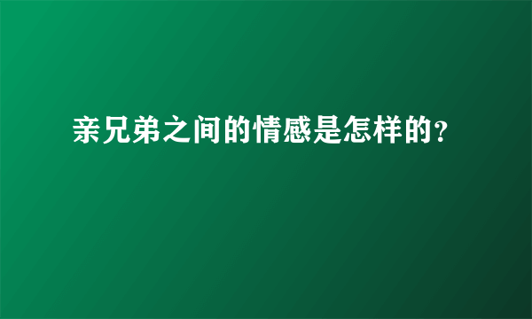 亲兄弟之间的情感是怎样的？