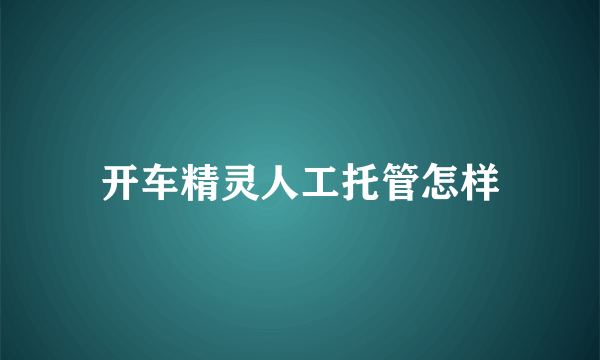 开车精灵人工托管怎样