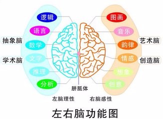 怎么提高自己的逻辑思维和语言表达能力？