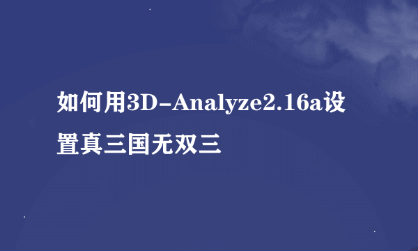 如何用3D-Analyze2.16a设置真三国无双三