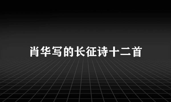 肖华写的长征诗十二首