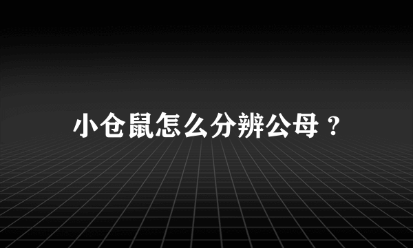 小仓鼠怎么分辨公母 ?