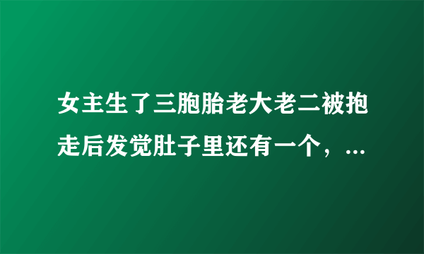 女主生了三胞胎老大老二被抱走后发觉肚子里还有一个，她只能带着老三偷跑。老大老二是龙凤胎