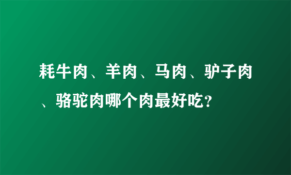 耗牛肉、羊肉、马肉、驴子肉、骆驼肉哪个肉最好吃？