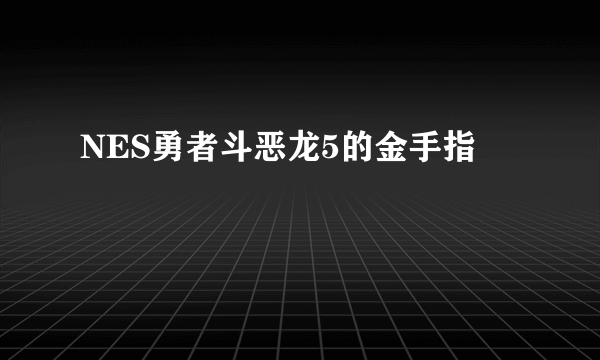 NES勇者斗恶龙5的金手指