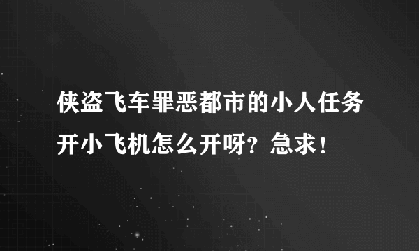 侠盗飞车罪恶都市的小人任务开小飞机怎么开呀？急求！