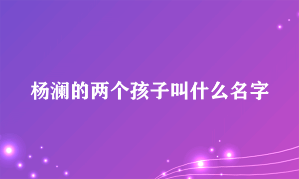 杨澜的两个孩子叫什么名字