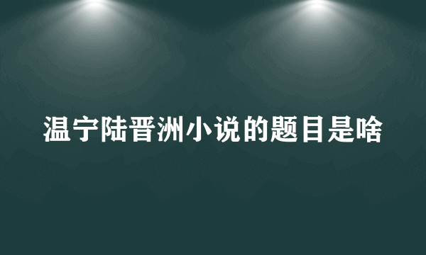 温宁陆晋洲小说的题目是啥