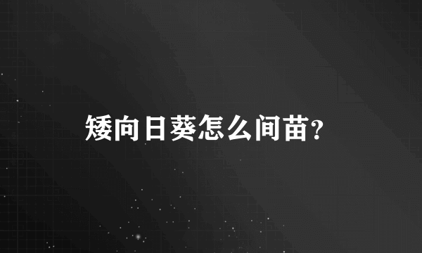 矮向日葵怎么间苗？