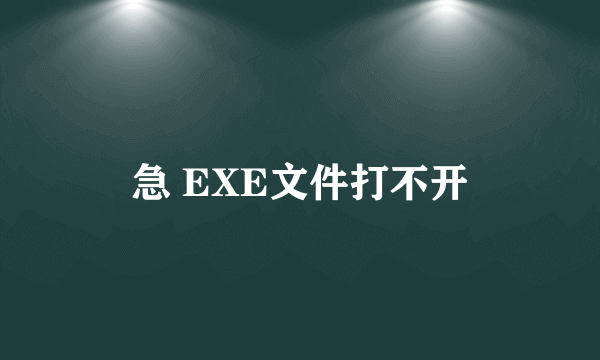 急 EXE文件打不开