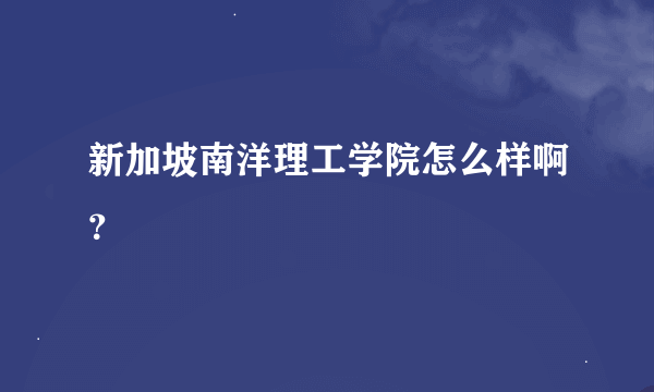 新加坡南洋理工学院怎么样啊？