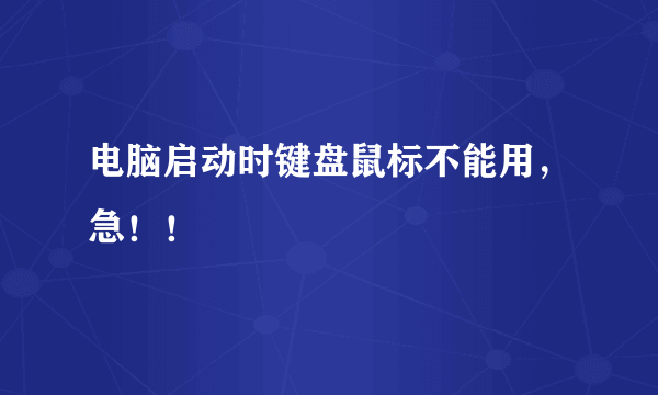 电脑启动时键盘鼠标不能用，急！！